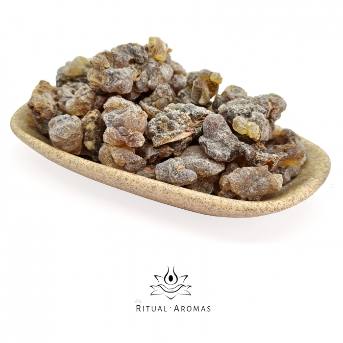 Tămâie neagră Hojari (Boswellia Sacra), Oman [1]