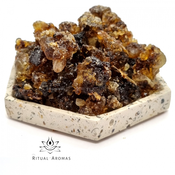 Tămâie neagră Shaabi (Boswellia Sacra), Oman [1]