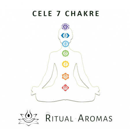 Bețișoare Chakra 1 - Muladhara [2]