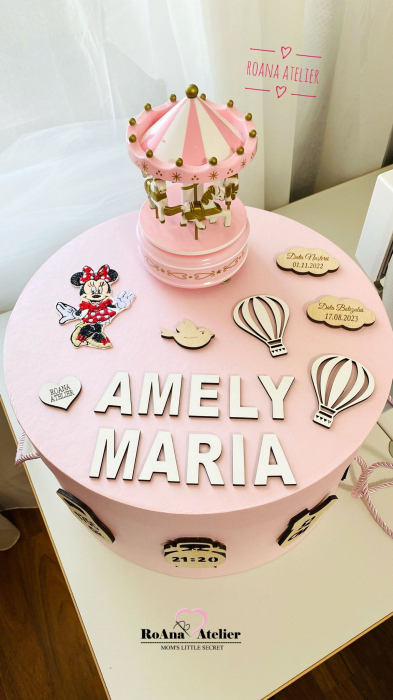 Cutie Trusou Minnie cu datele nasterii [2]