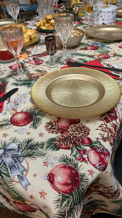 Fata de masa de Craciun [3]