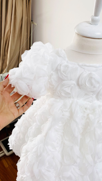 Rochita Botez Alba Princess Roses [3]