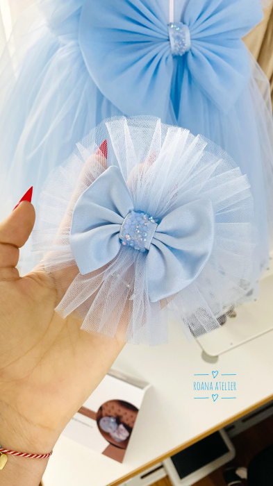 Rochita Mirabela Bleu [7]
