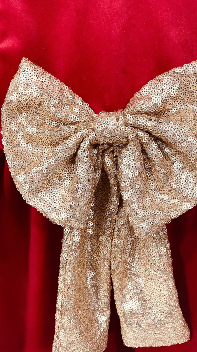 Rochita rosie Golden Bow [3]