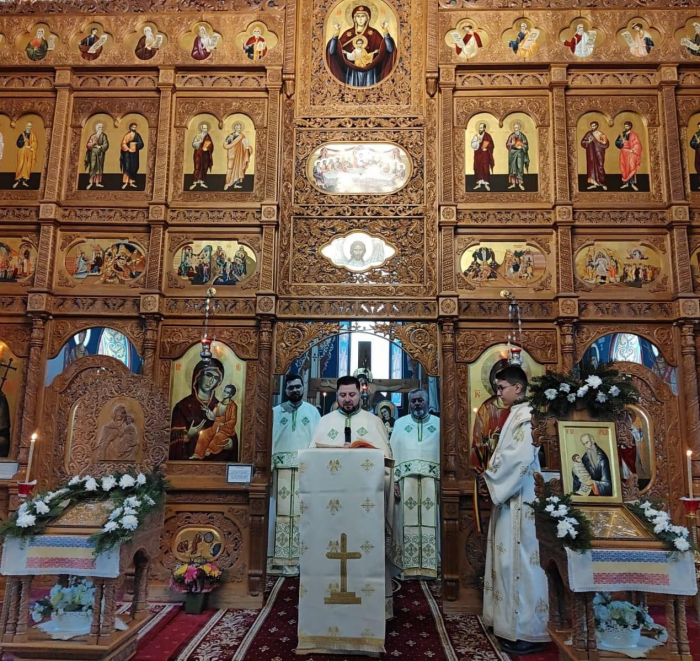 Stergar cu motive traditionale [5]