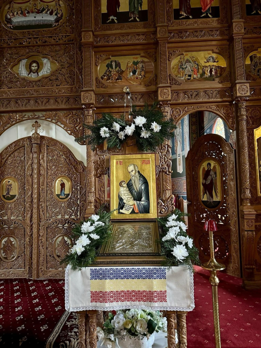 Stergar cu motive traditionale [4]