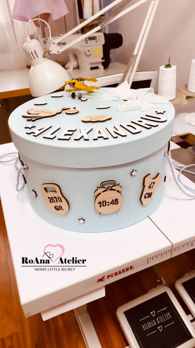 Trusou Botez Avion [8]