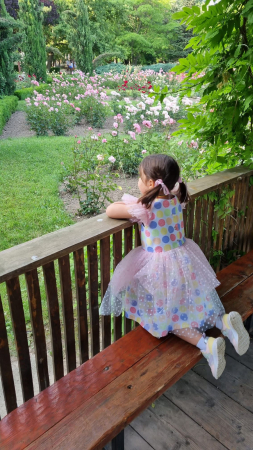 Rochita Arlechin [5]