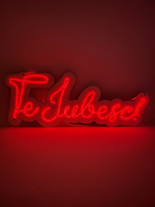 Decoratiune de perete cu led neon graph,textul te iubesc,led rosu [2]