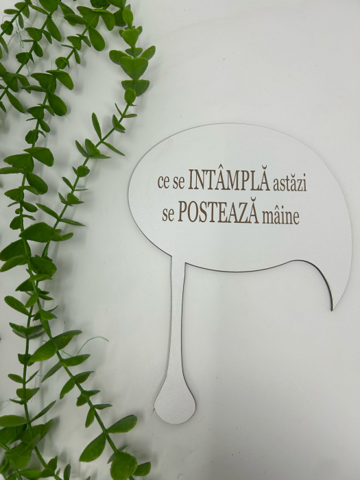 Props cu textul,,ce se întâmplă astăzi se postează mâine" din MDF [1]