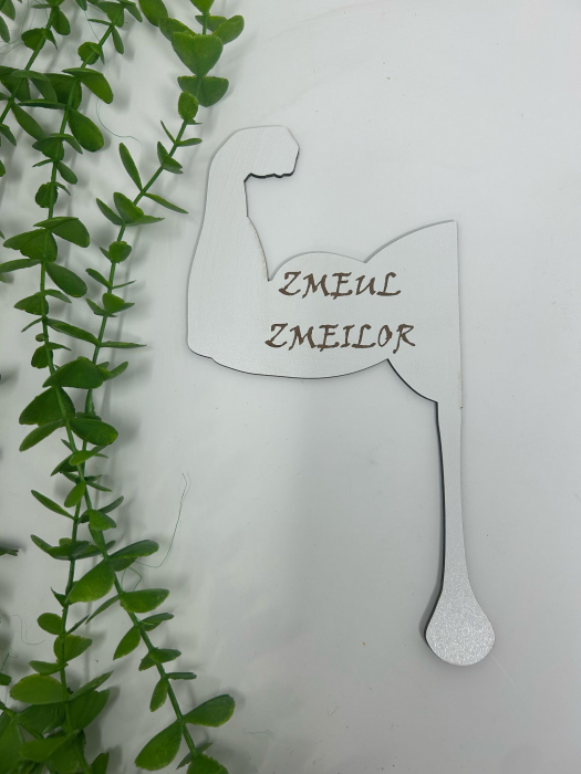 Props cu textul ,,Zmeul Zmeilor" din MDF [1]