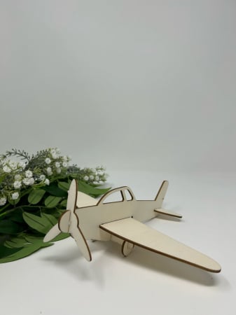 Micii Artizani - Avion de asamblat și pictat