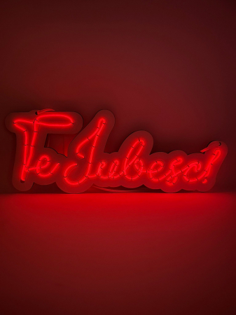 Decoratiune de perete cu led neon graph,textul te iubesc,led rosu [1]