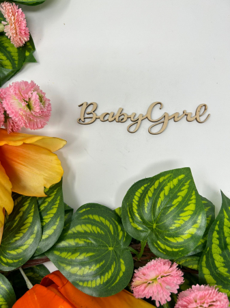 Topper - Topper cu textul ,,baby girl/baby boy" pentru aranjamente florale și tort din lemn