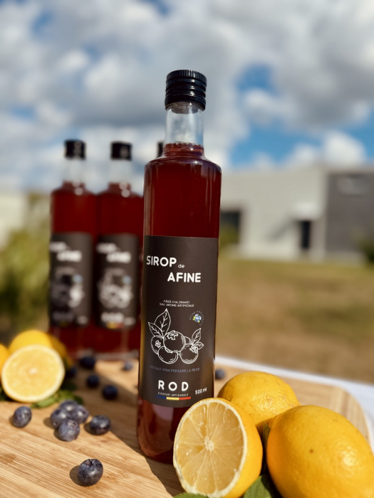 Sirop de Afine [2]