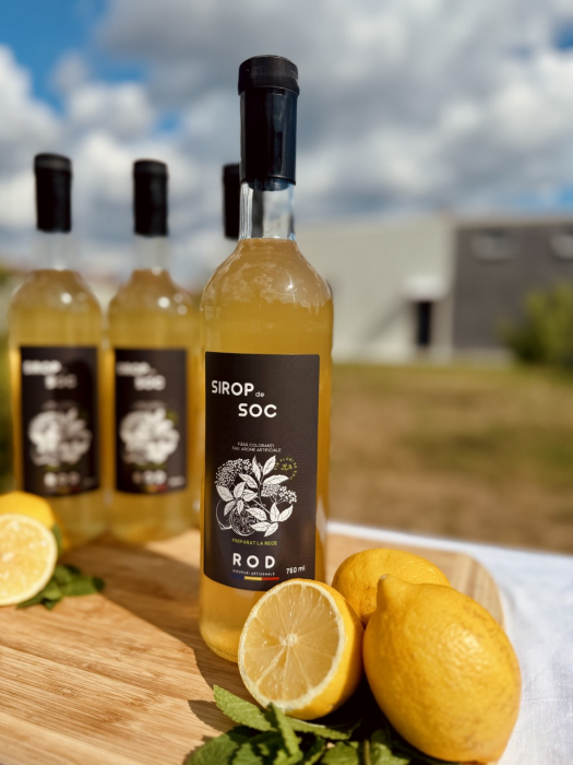 Sirop de Soc [2]