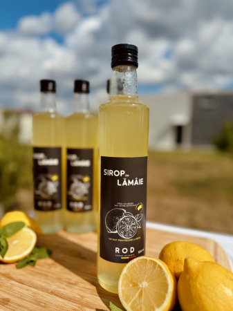 Sirop de Lămâie [1]