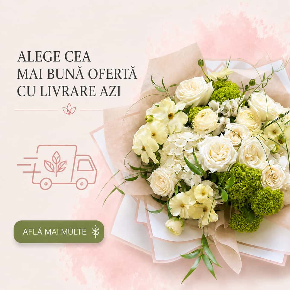 Alege cea mai buna oferta cu livrare azi!