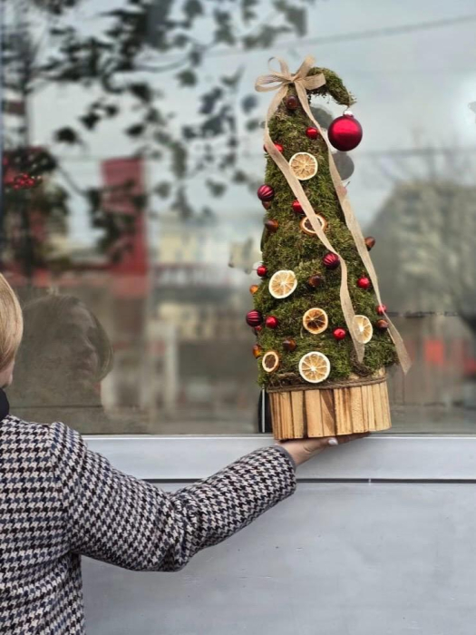 Brad de masă cu mușchi natural și decorațiuni (felii de portocală, globuri roșii) – Rodyolla [2]