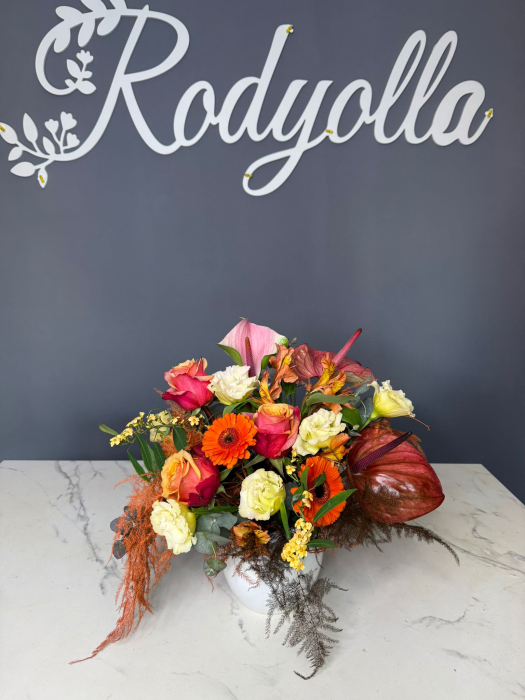 Aranjament in ghiveci alb - Rodyolla [2]