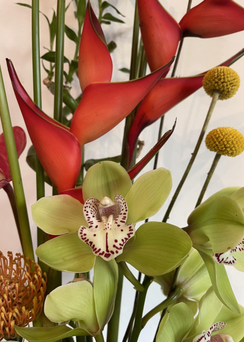 aranjament office leucospermum, bambus, anthurium, orhidee, Craspedia, succes in afaceri [2]