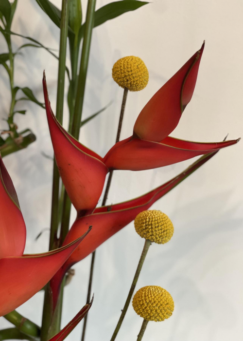 aranjament office leucospermum, bambus, anthurium, orhidee, Craspedia, succes in afaceri [3]