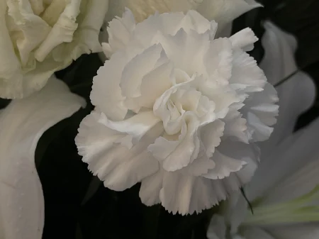 Aranjament funerar alb Stelar [4]