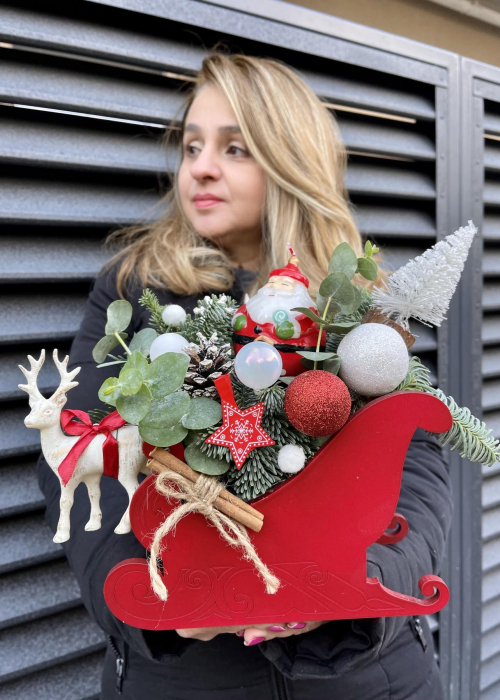 Aranjament Sania lui Mos Craciun [2]