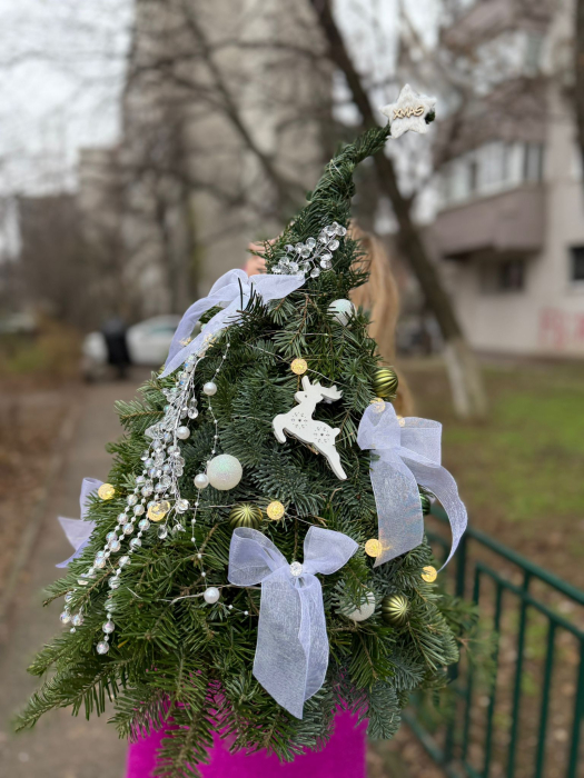 Brad Decorativ Rodyolla [3]