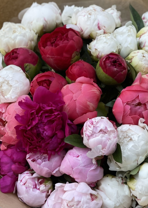 Buchet din bujori colorati roz alb grena corai [3]