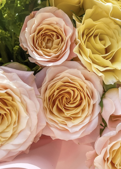 Buchet cu trandafiri galbeni si roz piersica [5]