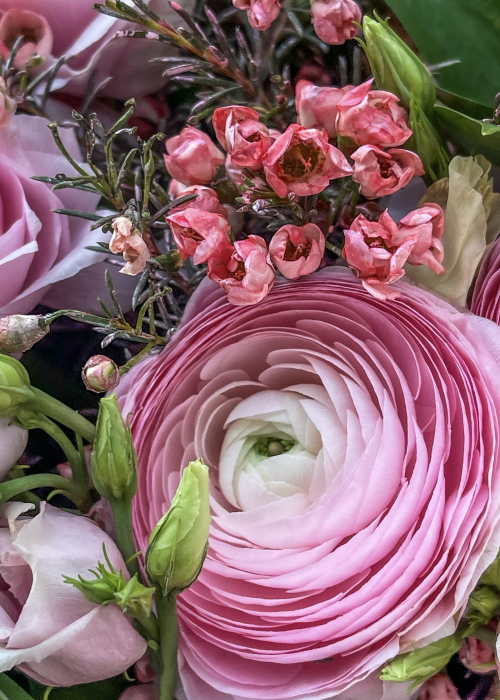 Buchet de flori All Pink din trandafiri si ranunculus roz [5]