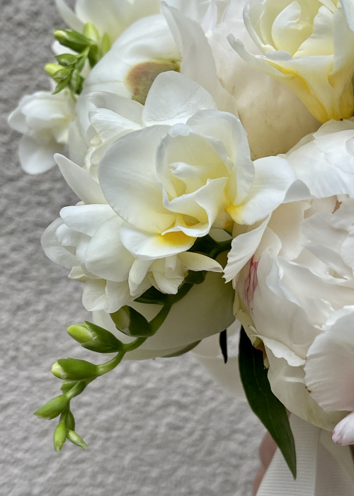 Buchet de mireasa din bujori albi si frezii [3]