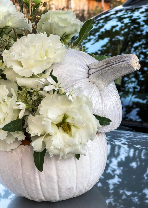 Dovleac decorat de Halloween Zana Buna, din lisianthus alb [5]