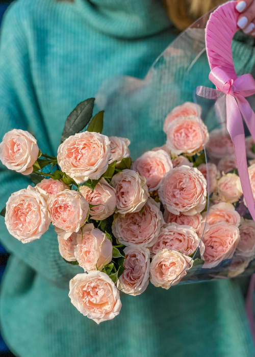 Geanta transparenta cu trandafiri pudrati Peach Fuzz [2]