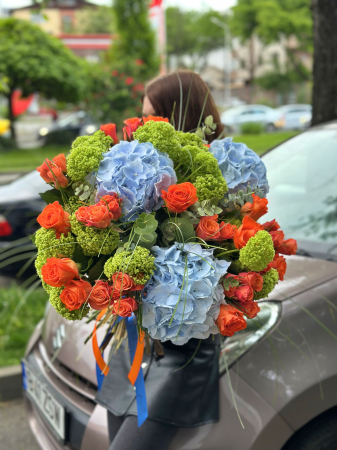 Premium - Impact cromatic