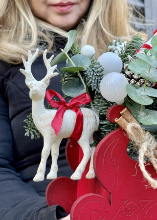 Craciun - Aranjament Sania lui Mos Craciun