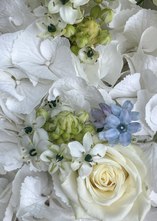 buchet de flori din hortensii, trandafiri si oxypetalum [1]