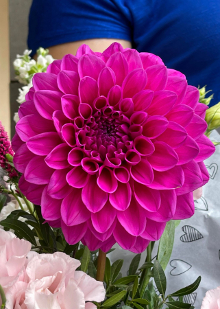 Buchet roz mov, dalia, matthiola, lisianthus [1]