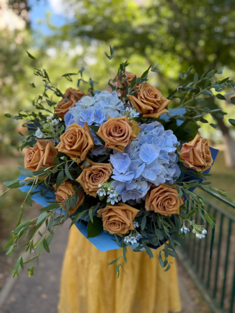 Premium - Cappuccino