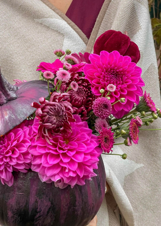 dovleac decorat de halloween mov cu dalii [1]