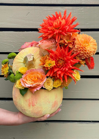 Halloween - Dovleac feerie de Halloween