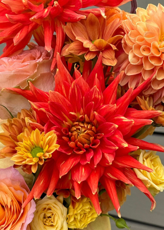 Dovleac feerie de Halloween [2]