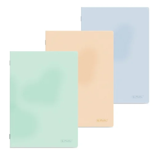 Caiete - Caiet A4 80 file dictando coperta plastic Herlit