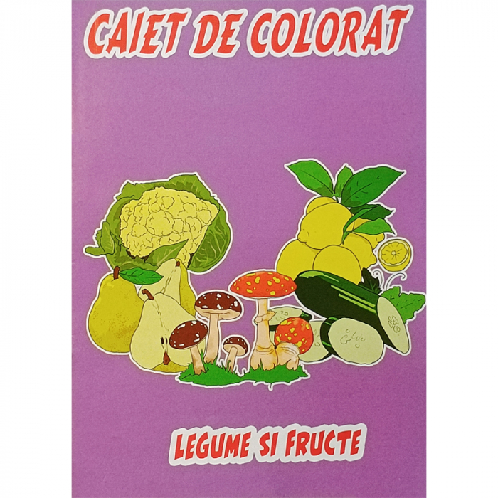 KP-CAIET DE COLORAT A4 [2]