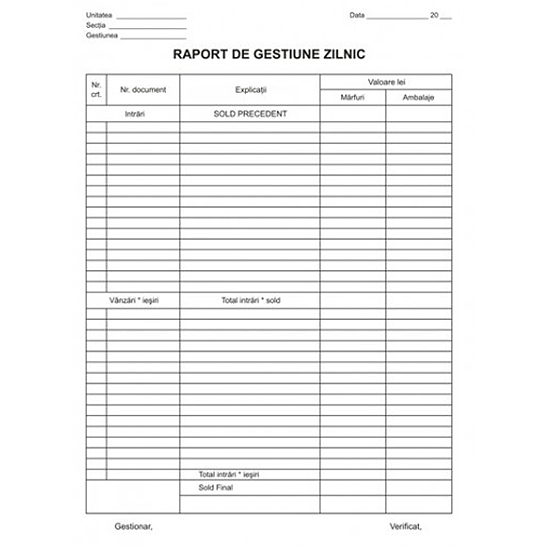 RAPORT DE GESTIUNE ZILNICA [1]
