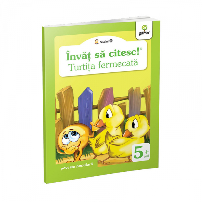 Turtita fermecata, Nivel 0 [1]