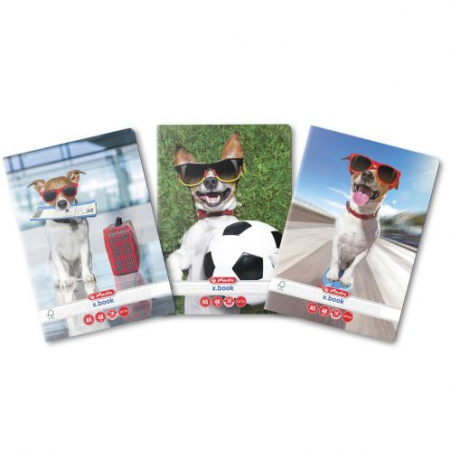 Caiete - Caiet A5 48 file dictando Cool Dog Herlitz