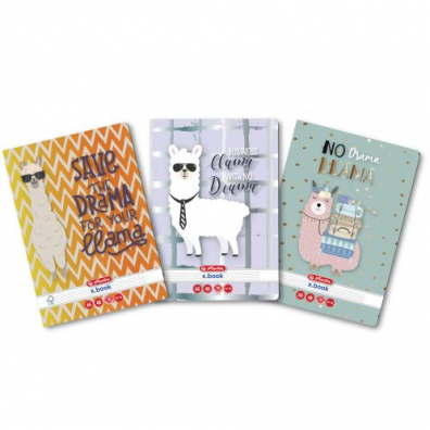 Caiete - Caiet A5 48 file dictando Sports Herlitz