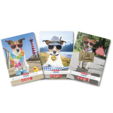 Caiete - Caiet A5 48 file matematica Cool Dog Herlitz
